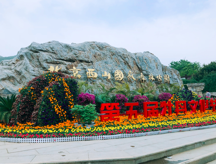 飛鳥創(chuàng)意拓展團建項目組獨家承辦北京市朝陽區(qū)人民法院拓展團建活動！